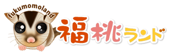 フクロモモンガ専門サイト 福桃ランド